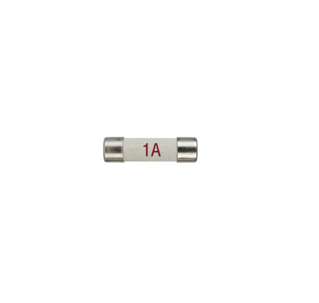 [DPF-1] BS1362 Domestic Plug Fuses - 240V Household Appliance Protection (1 Amp)